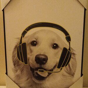 Golden Retriever Dog with Headset Framed Wall Art 🐾